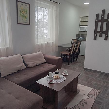 קופאוניק Vila Mozart - Apartments & Studios מראה חיצוני תמונה